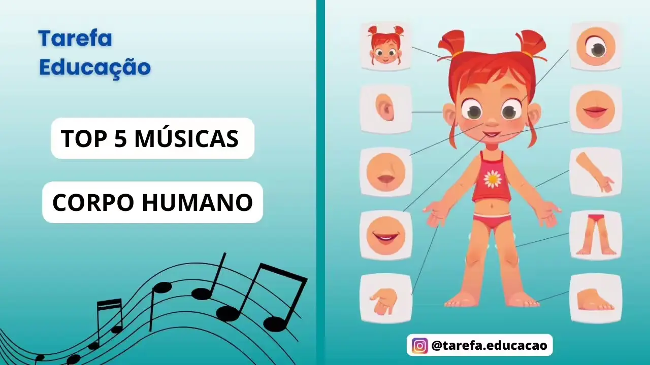 Capa da atividade: Top 5 músicas: Partes do corpo humano