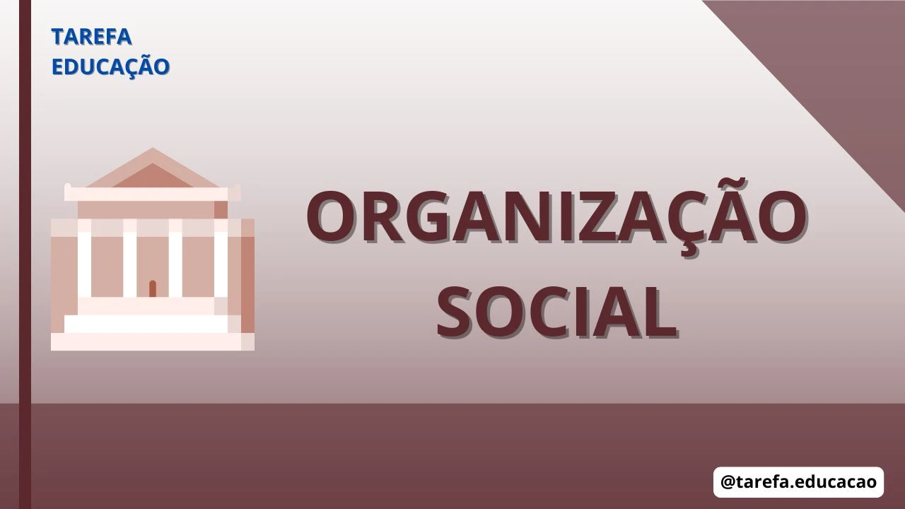 Organização social
